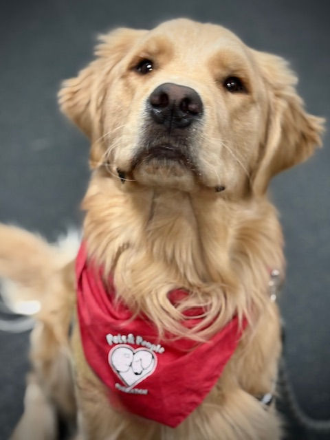 04/15/26 (Wed 11:00 - 12:00) Dept. of Children & Families - Greater Waltham Area Office, Waltham MA