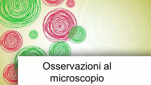 Viaggio fantastico nella cellula - 4C Bertapelle