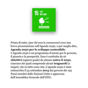 Il goal 15 dell'Agenda 2030 - Classe 2^A scuola secondaria