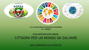 Cittadini per un mondo da salvare - Classe 3^C scuola secondaria