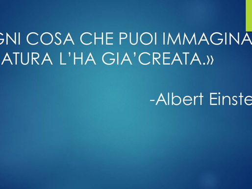 Ri...creando! - Classe 1^C scuola primaria Bertapelle