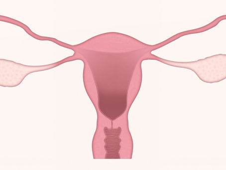 THE MENOPAUSE