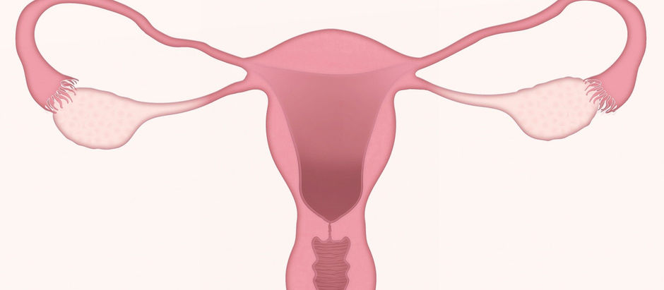 THE MENOPAUSE