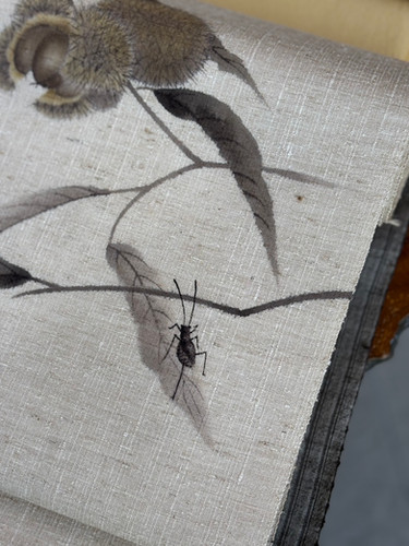 栗繭に描き栗 九寸名古屋帯 | hibikimono-sasaki