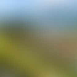 Healthy Homes Standards in Tauranga: What Every Landlord Must Know