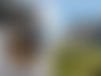 How New Climate Risk Rules Could Affect Property Values And What They Mean for New Build Investors