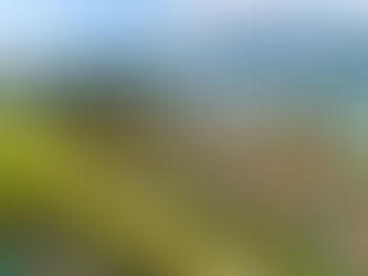 Healthy Homes Standards in Tauranga