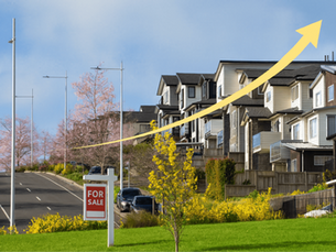 NZ Property Market Spring 2025: OCR Cuts, Investor Rules & What Comes Next