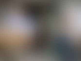 What happens if a co-investor wants to exit