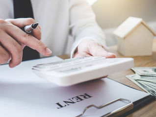 How Do You Calculate Rental Yield in New Zealand?