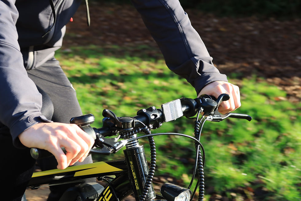 Thumbnail: YELLOW/BLACK EAGLE E-BIKE 19 INCH