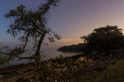 CHIEfotografia1