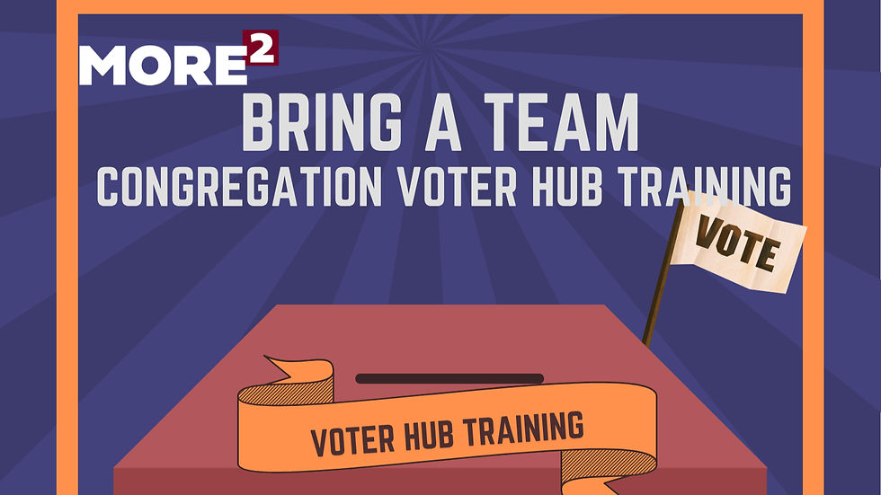 MORE2 Voter Hub Training