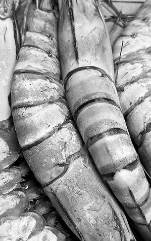 Untitled design (22).jpg