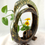 Thumbnail: IKEBANA CIRCLE