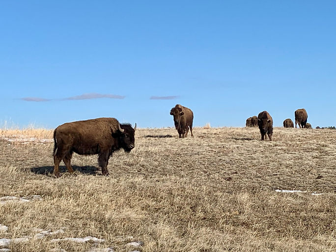 TATANKA.jpg