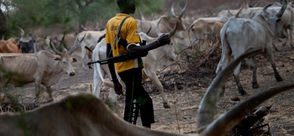 Ongoing Deadly Persecution of Christians by Fulani Herdsmen Terrorists in Nigeria
