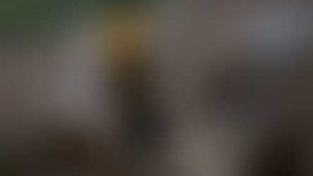 Fulani Herdsmen Kill 20 in Kaduna