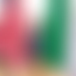 Exclusive Insight: Are Nigerian State Actors Complicit in Terrorism? Examining Allegations, Governance Failures & U.S.–Nigeria Counter-Terrorism Talks