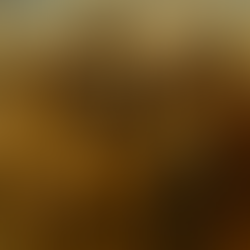 ETHIOPIAN JEWS: A People Who Would Not Break: The Persecution and Rescue of Ethiopian Jews