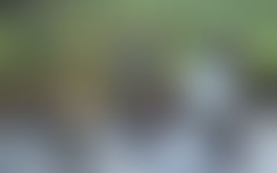 "Strange Ailments in N-Delta: ‘Oil Pollution Deforming, Killing Ogoni Babies’" - Vanguard