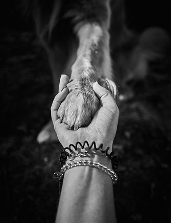 pexels-tommes-frites-1141358642-31331212.jpg
