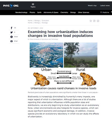都市適応_physorg2.jpg