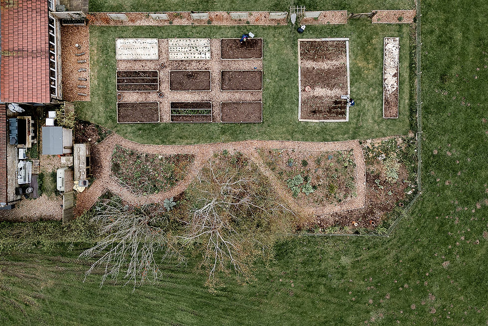 Branding photography session restaurant kitchen garden North Yorkshire