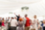 Farm Wedding and the singing waiters