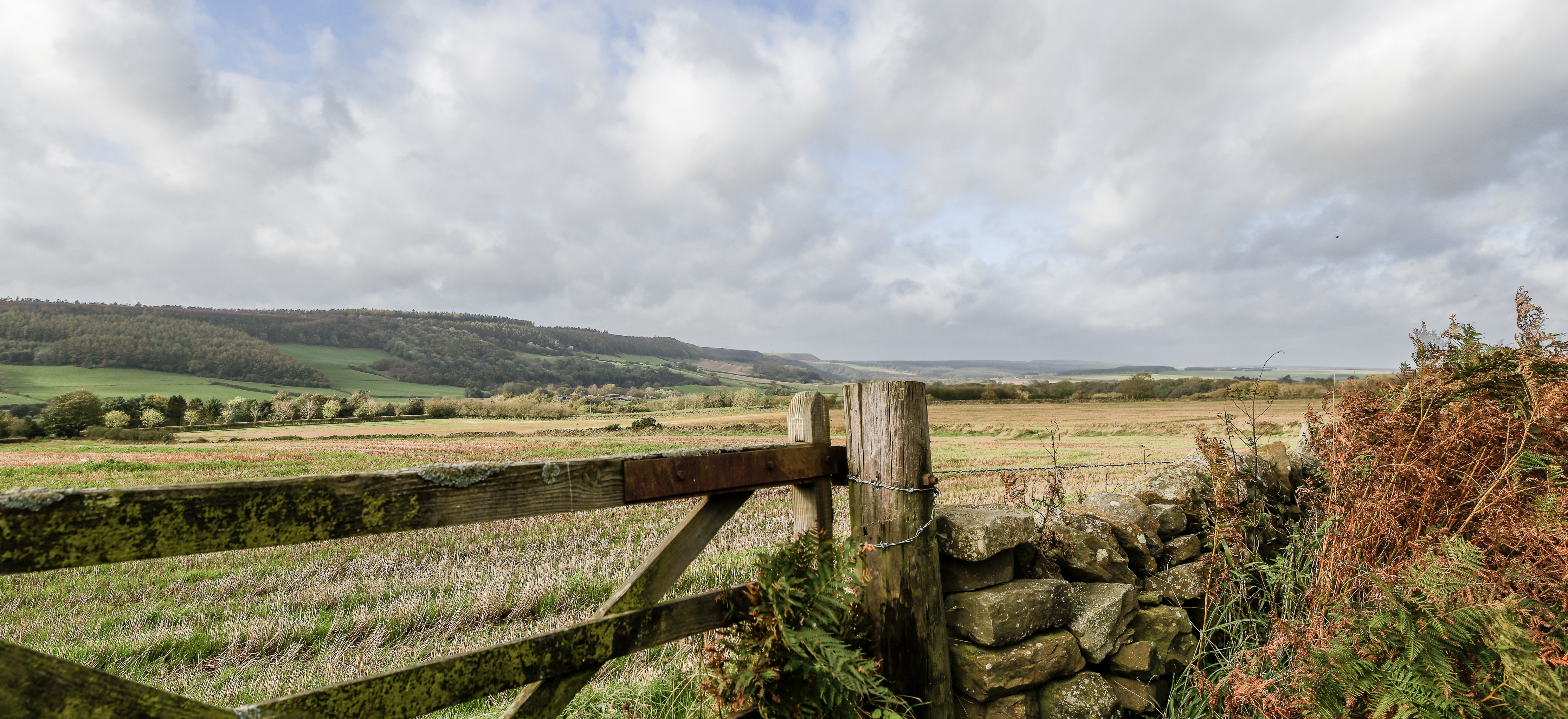 The Barn Harwood Dale