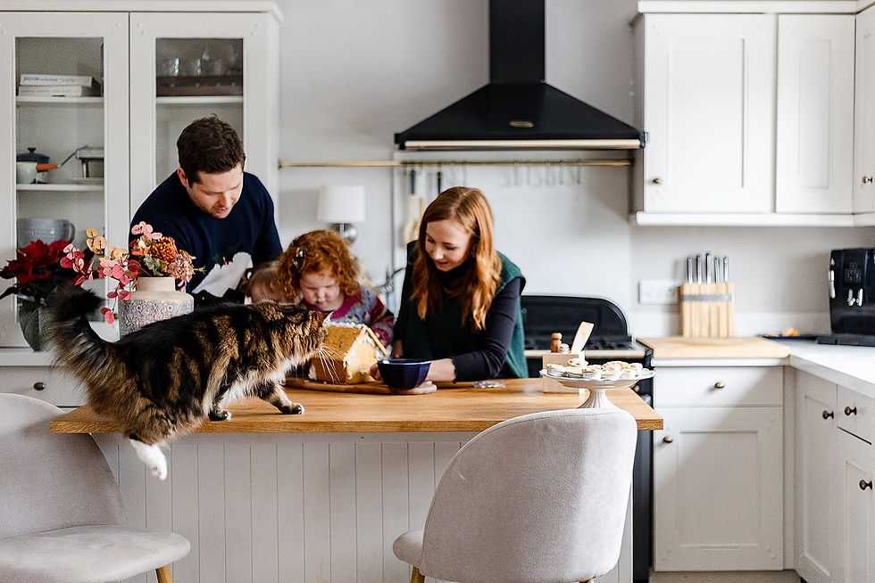 Family baking gingerbread together in their kitchen during a Christmas photoshoot as the cat walks on to the surface.