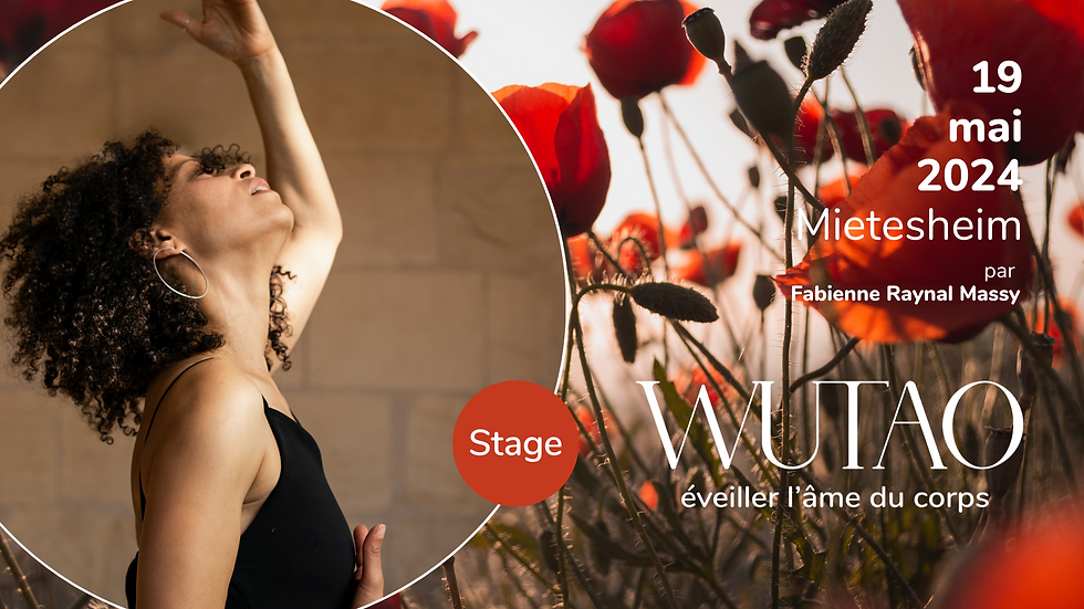 STAGE DE WUTAO