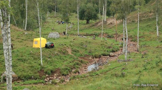 WT PAW of Sweden, Gagnef