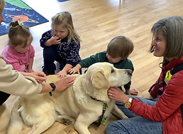 guide dog.jpg