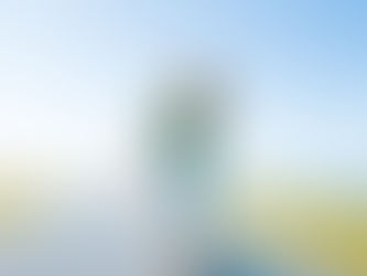 Curating your online presence | Arabella Futcher Photography Balmain