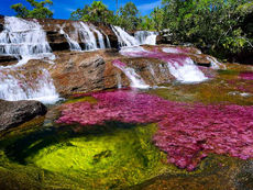 Caño Cristales: Cómo llegar, qué hacer y qué no