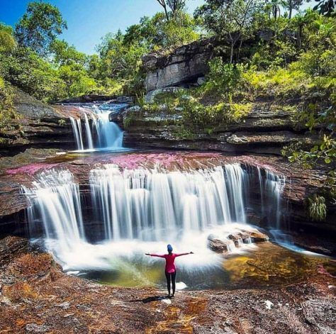 Caño-Cristales-Gaboeisenband