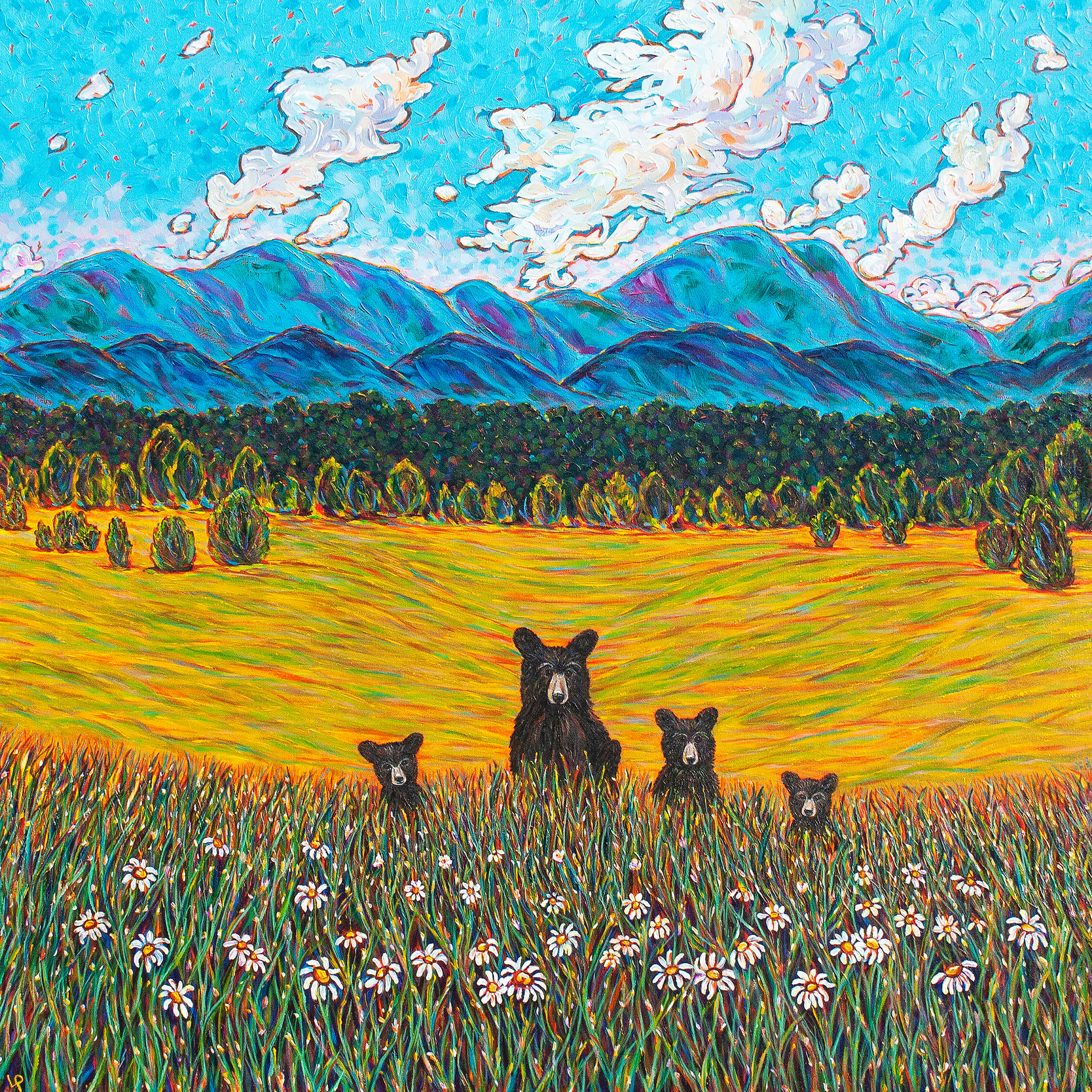 Mountain Bear Paradise