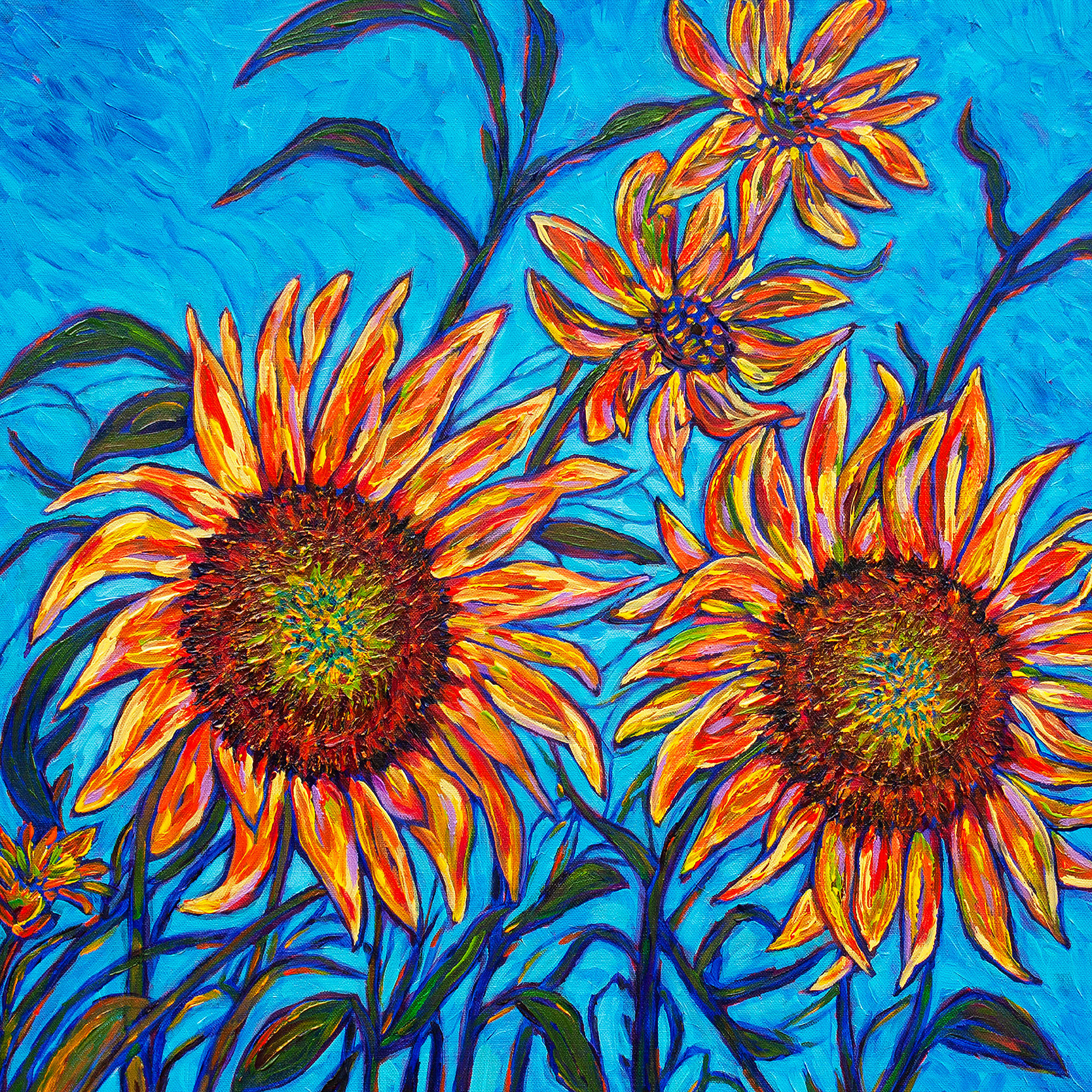 Sunflower Morning Glory 24x24 SOLD