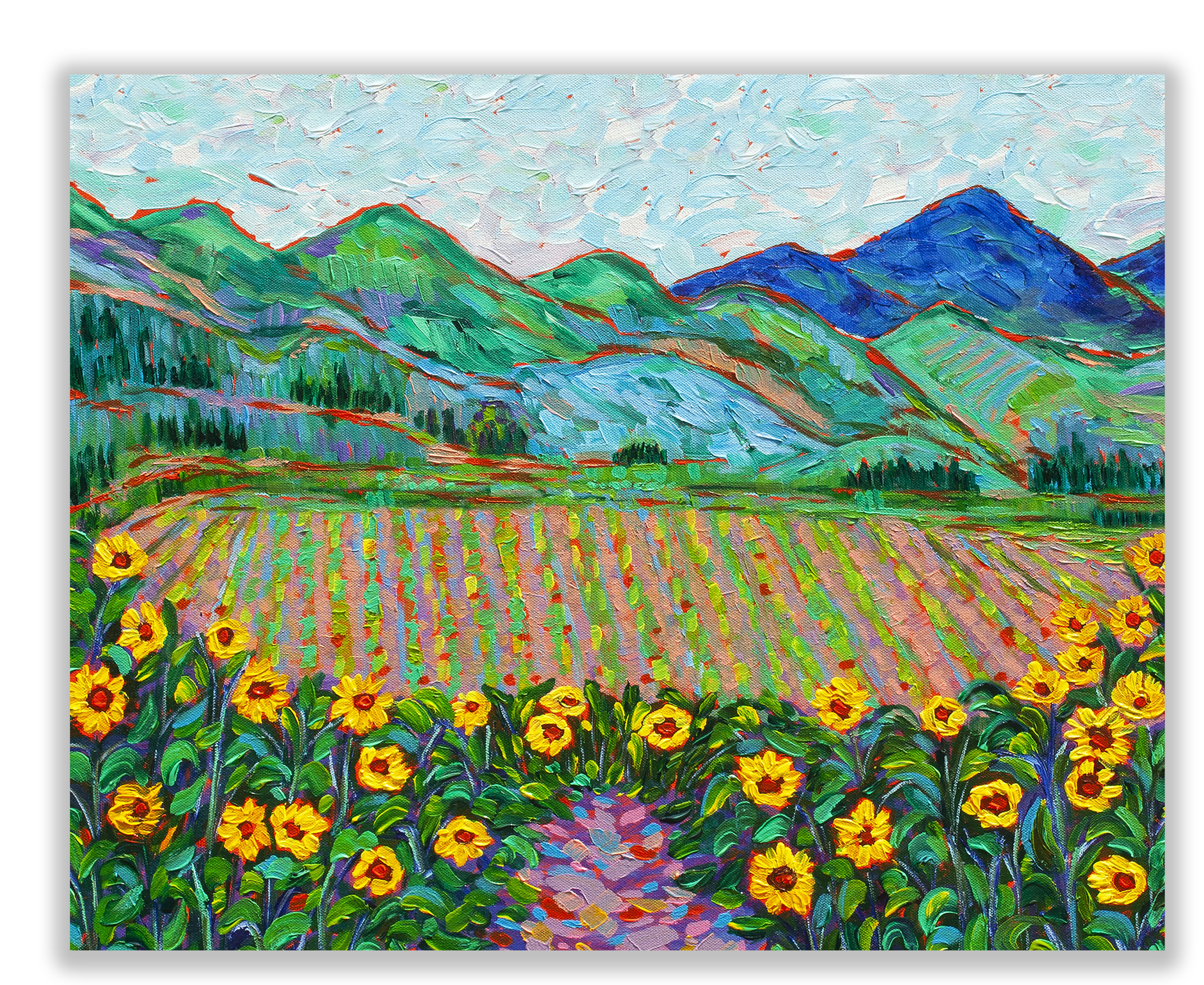 Sunflower Field of Dreams