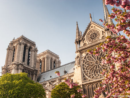 História, memória e Notre Dame