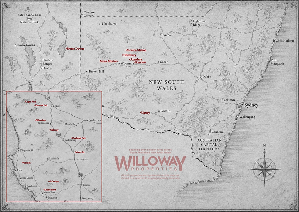 WF_MAP (dragged)_edited.jpg