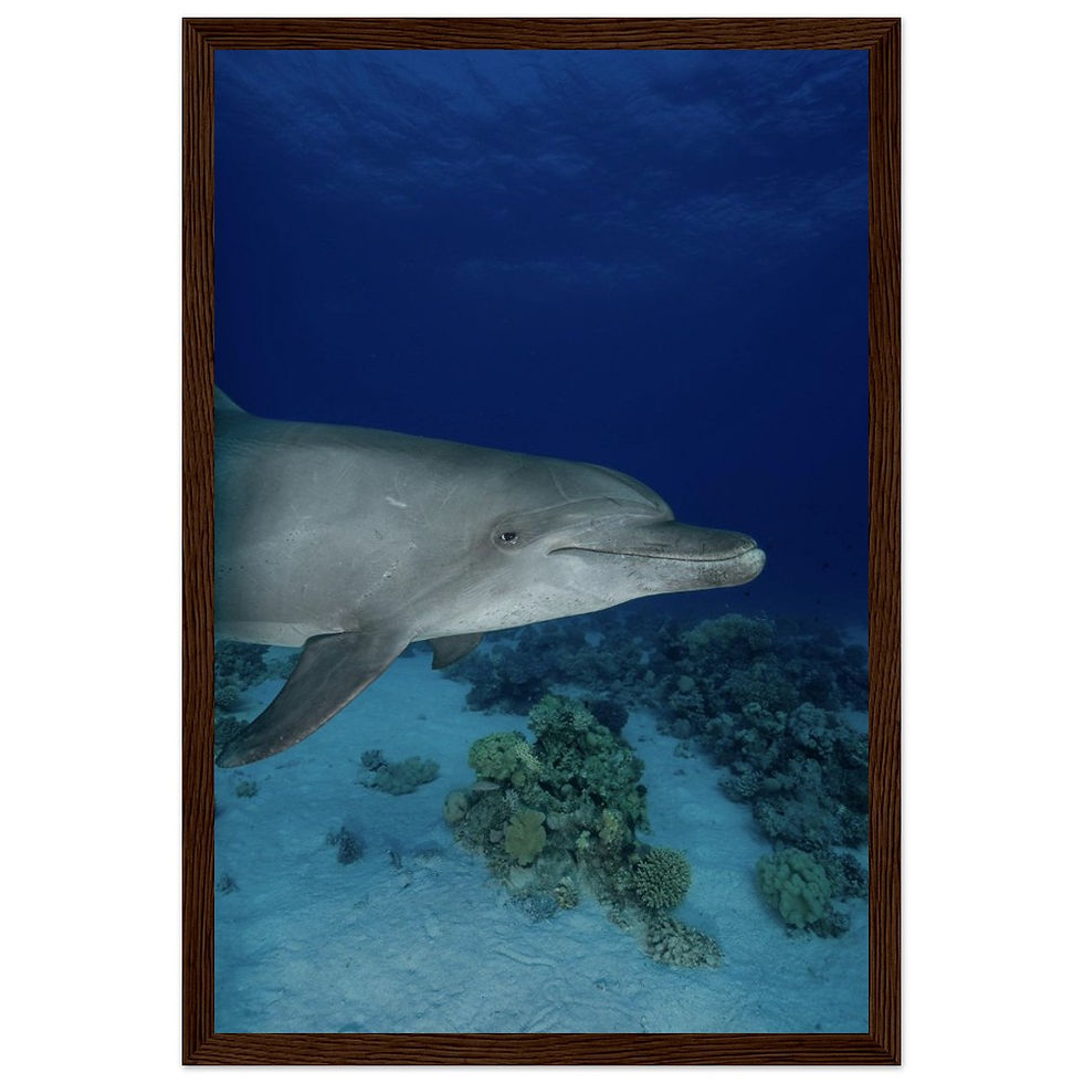 Thumbnail: Wooden frame poster