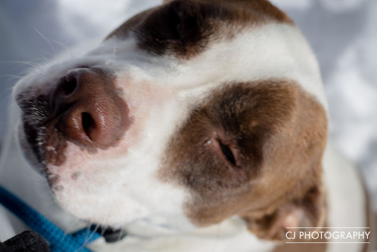 Teddy Bear and Elsa (10 of 22).jpg