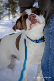 Teddy Bear and Elsa (17 of 22).jpg