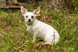 Ducks 7-17-21-119.jpg