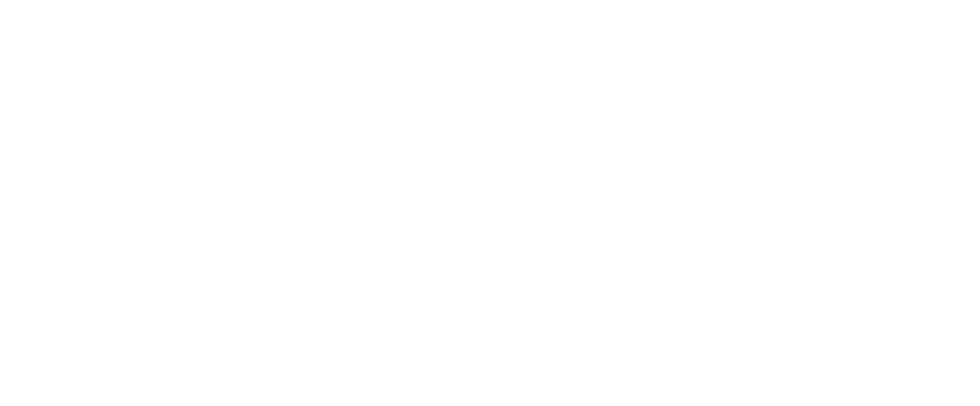 What is OPERATION DEMON?