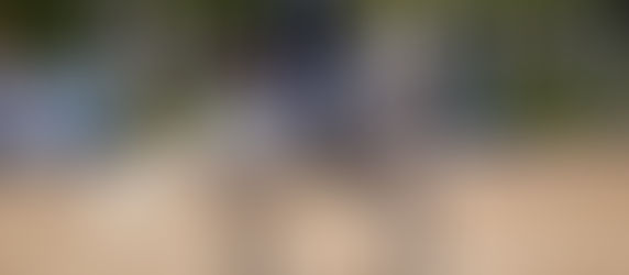 Time Brasil de Adestramento garante ouro nos Jogos Sul-Americanos e muito mais