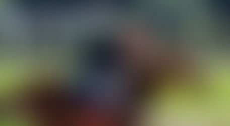 Jóquei paulistano já está nas pistas chinesas