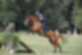 Ricky Candy com Nice: campeão brasileiro senior - série 3* (Duílio Andrade)